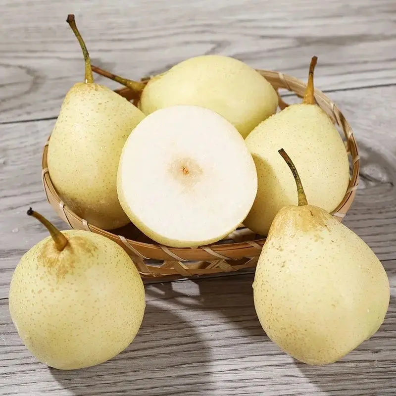 China factory price pear high quality new season fresh ya pears export crown pear from