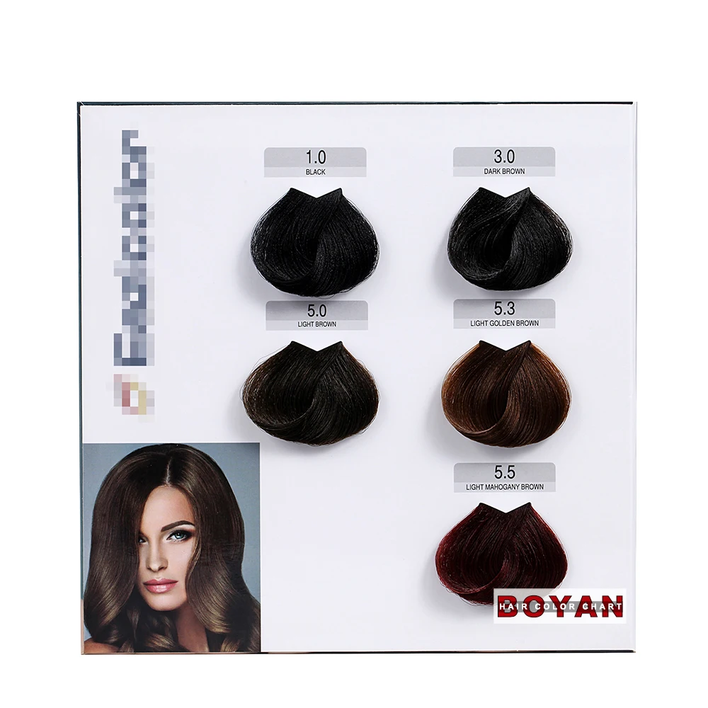 Color choice 2-page hair dye color swatch chart for hair cream