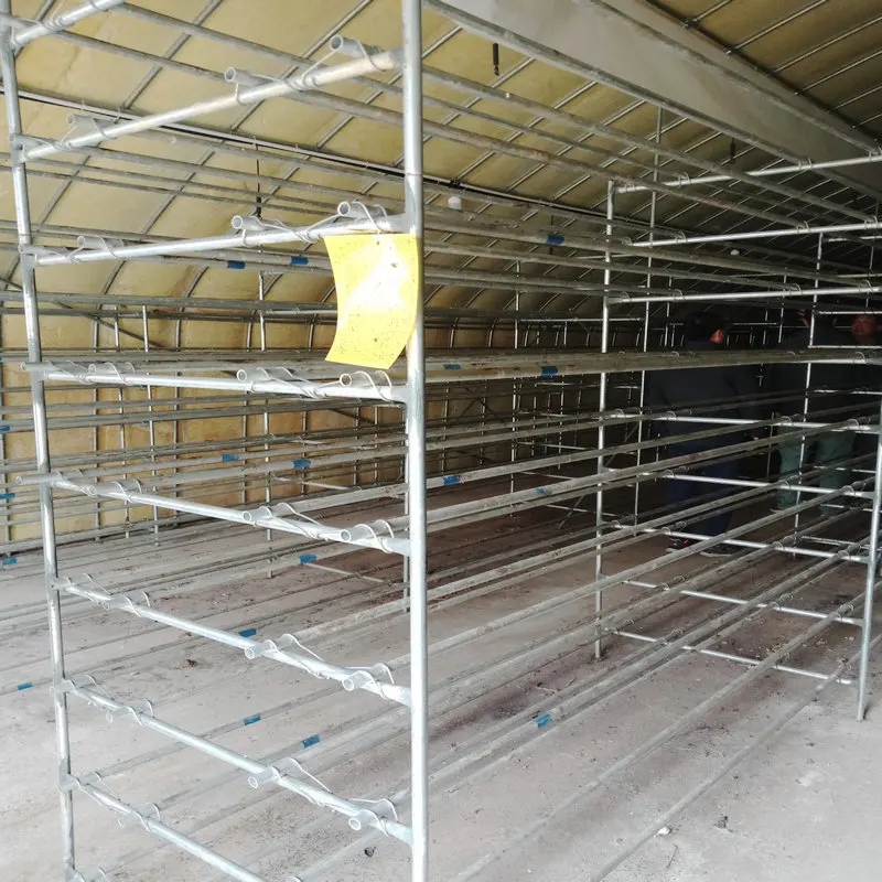 Mushroom caterpillar tunnel greenhouse in factory price