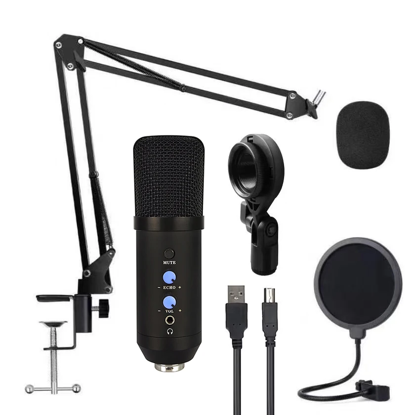 Usb Microphone for Zoom and Google Duo Phantom Microphone Soundking Microphone Recording Voice Over