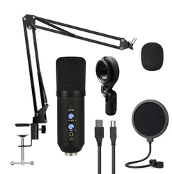 Usb Microphone for Zoom and Google Duo Phantom Microphone Soundking Microphone Recording Voice Over