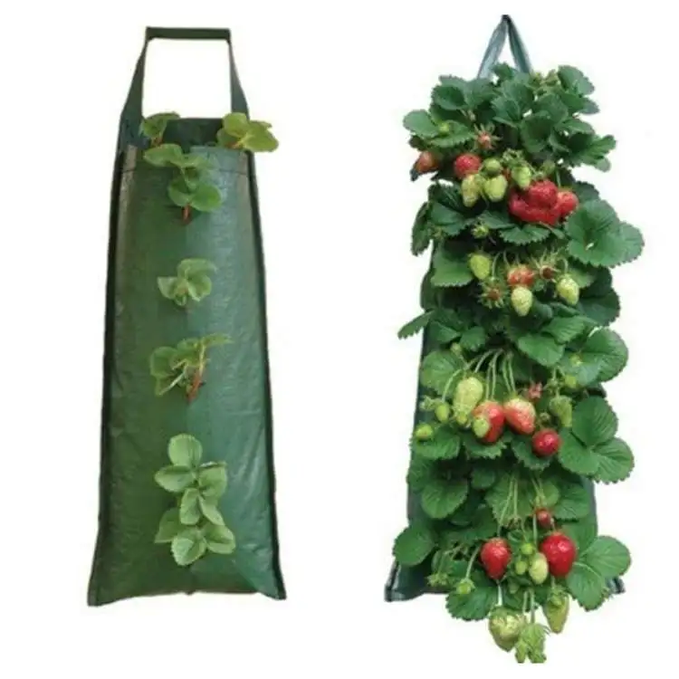 Wholesale Strawberry Tomato Planter Bags Plant Pot Container Non-Woven Vertical Garden Hanging Plants Grow B