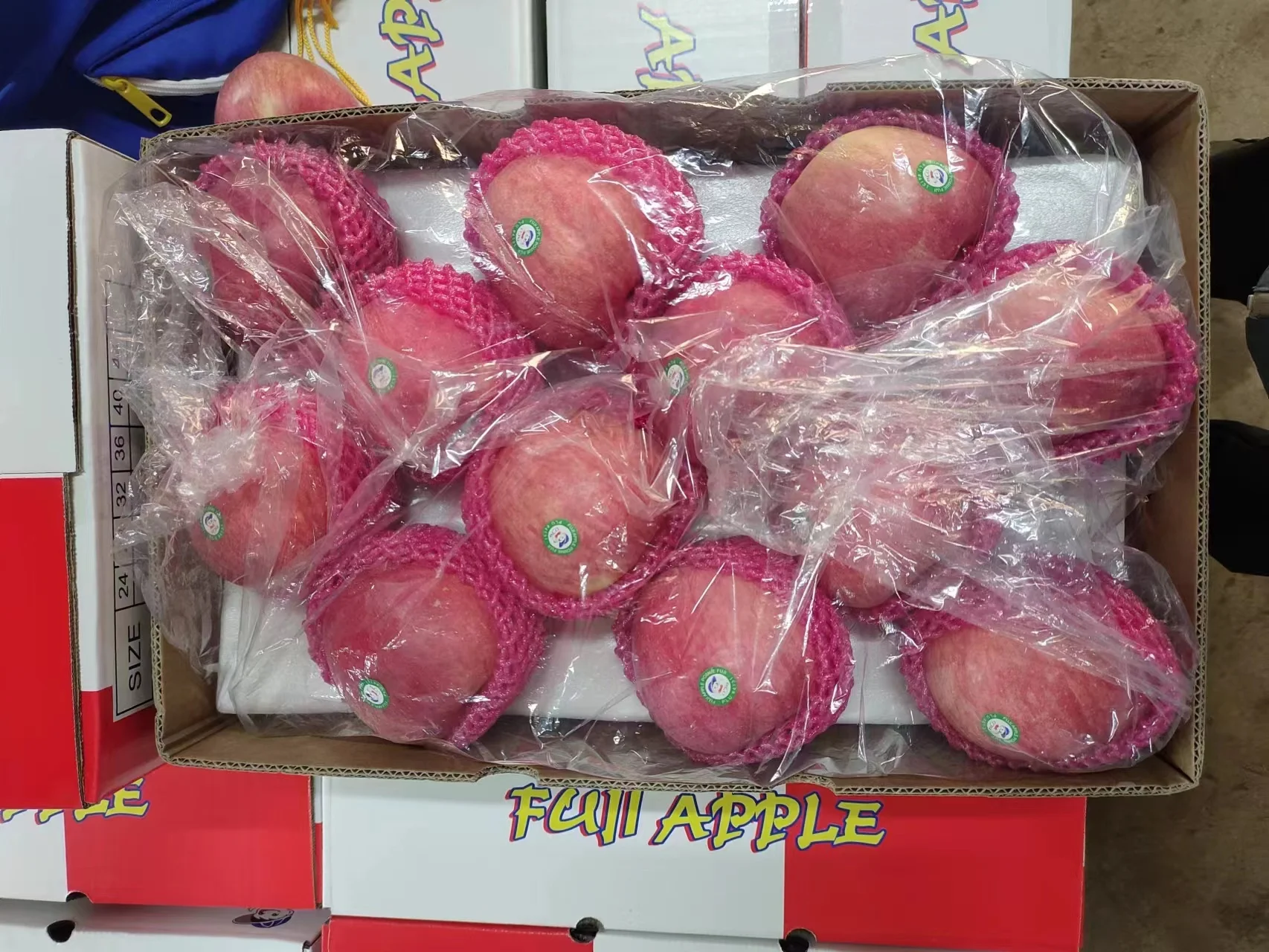 2024 Лучшая цена Фудзи яблочный продукт свежие яблоки
