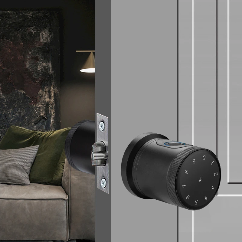 Indoor TT lock spherical smart door lock smart electronic fingerprint password door lock
