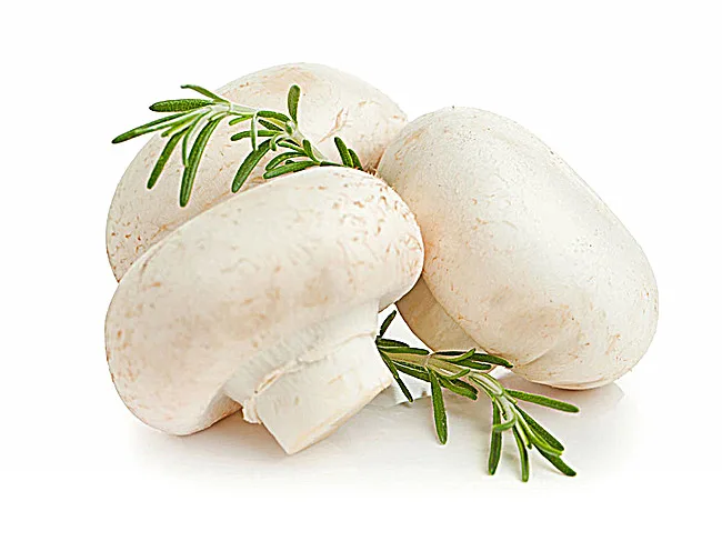 Консервированные грибы премиум-класса shiitake в барабане