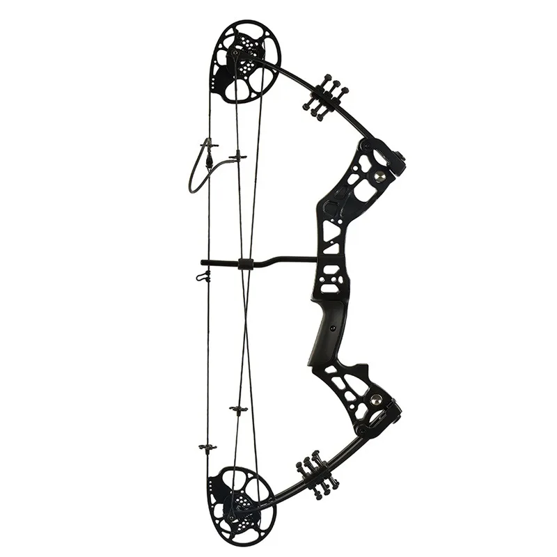 Hitop China Cnc Machine Arrow Bow Set Archery Equipment Bow Archery Equipment Dragon Compount Bow