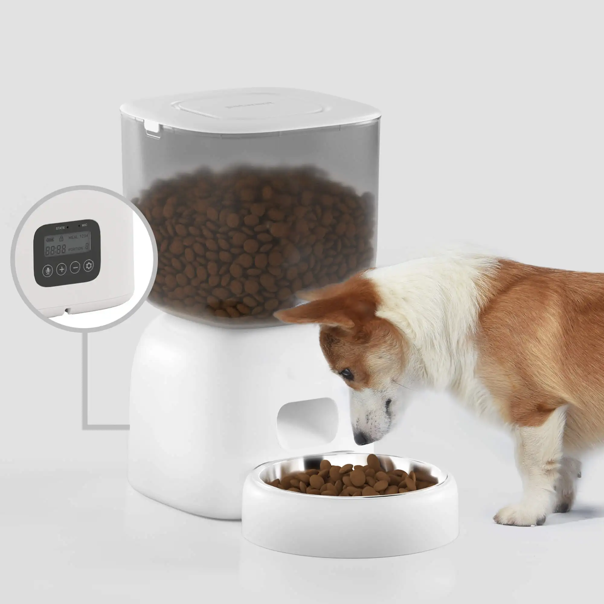 Petwant New Arrival Visible 3L Pet Dog Food Dispenser Precise 1-4 Meals Portion Control Automatic Cat Feeder For Dry Food