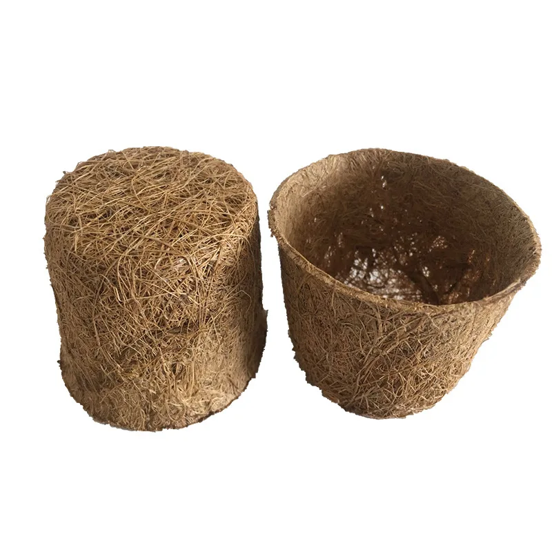 Coconut palm seedling cup nutrition seedling pot green plant growth pot green plant gardening supplies