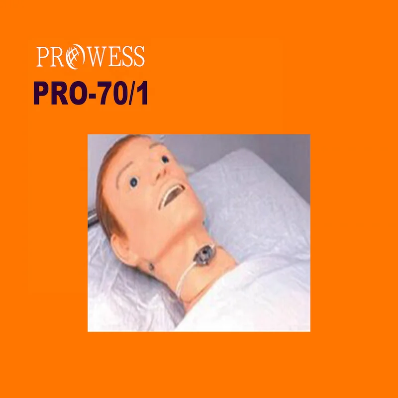 PRO-70/1 Manufacturer advanced silicon nasogastric tube and the trachea model nasogastric fr8 stomach tube teaching simulator