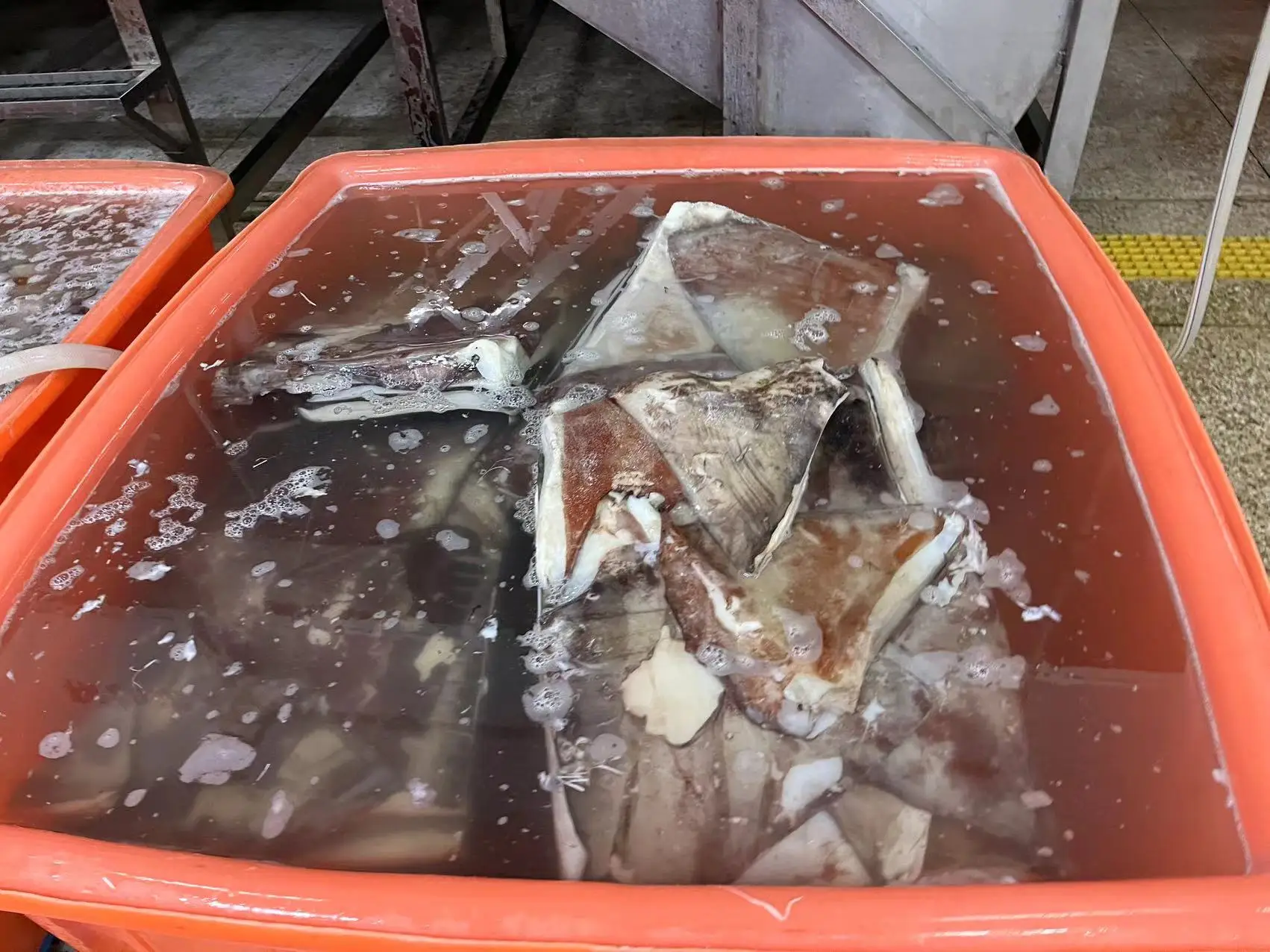 dosidicus gigas wings Peru Squid wings with skin Skin on Peru squid dosidicus gigas  wings With skin