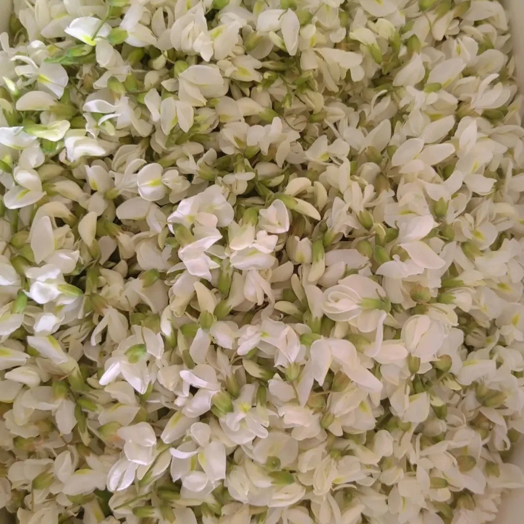 Purity 98% Quercetin Dihydrate Sophora japonica extract Natural Plant-Based Food Additive