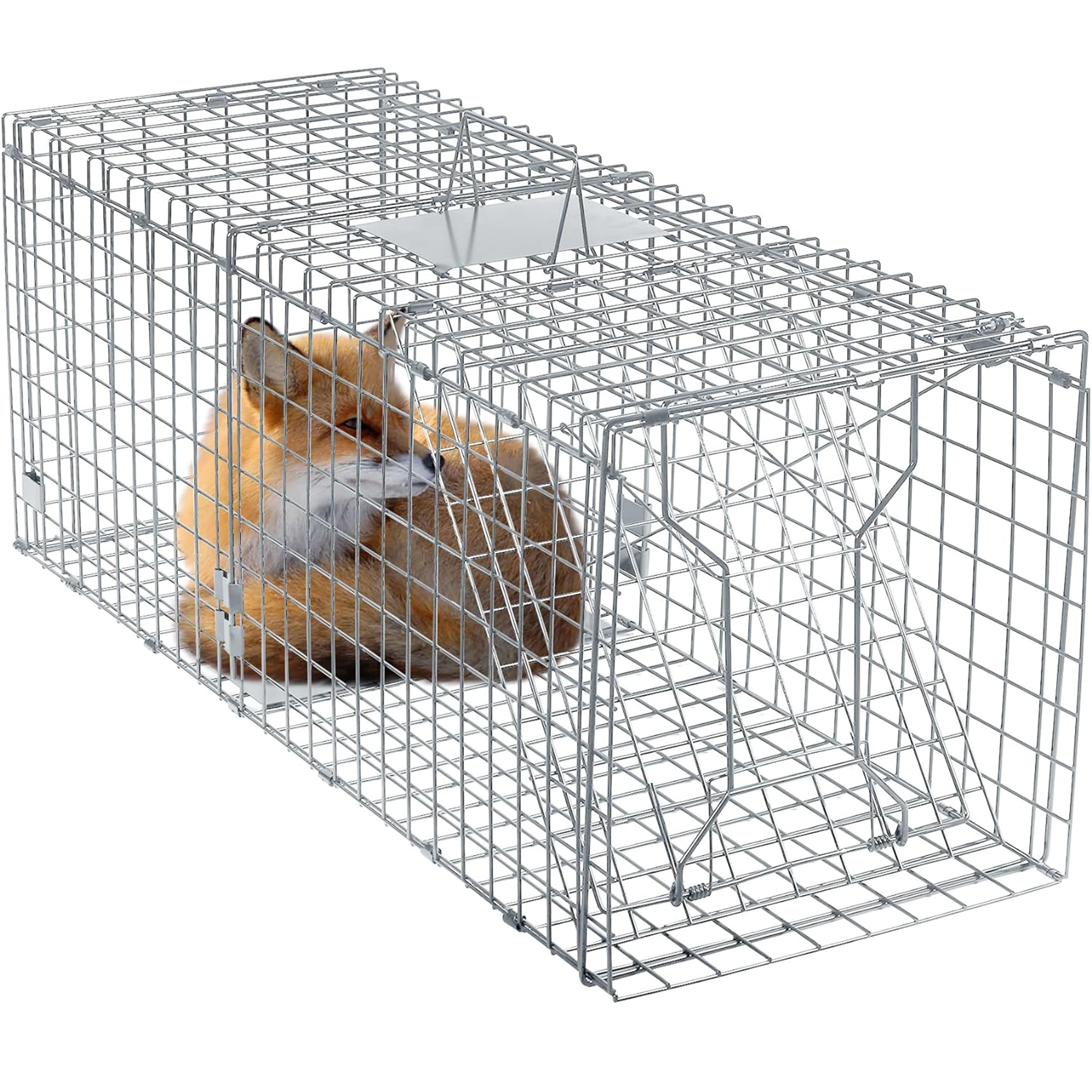 Live Animal Cage Trap Humane Opposum Trap Cat Raccoon Trap