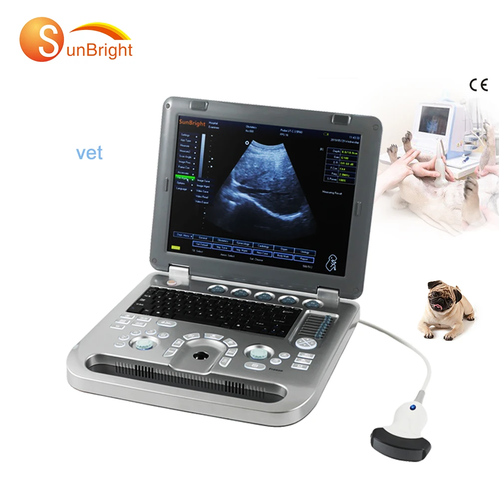 Veterinary ultrasound dog cat abdomen vascular cardiac 3D ultrasound