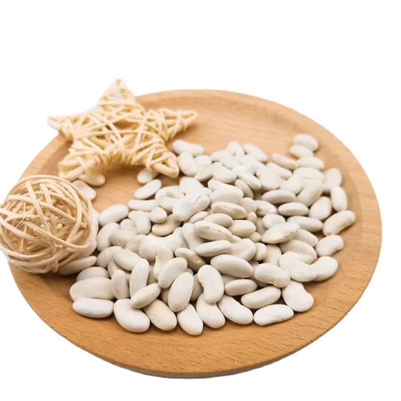New crop navy  white kidney bean  white bean for canned with factory price high quality