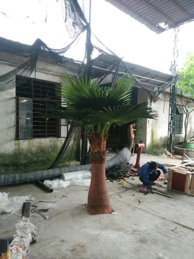 China Supplier Wholesale Tropical Plants Sago Palm Cycas Artificial Bonsai Tree For  for Home Decoration