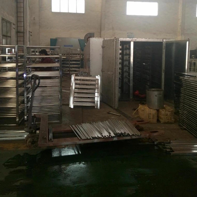 Hot Sale ct/ct-c series hot air circulating fish drying oven