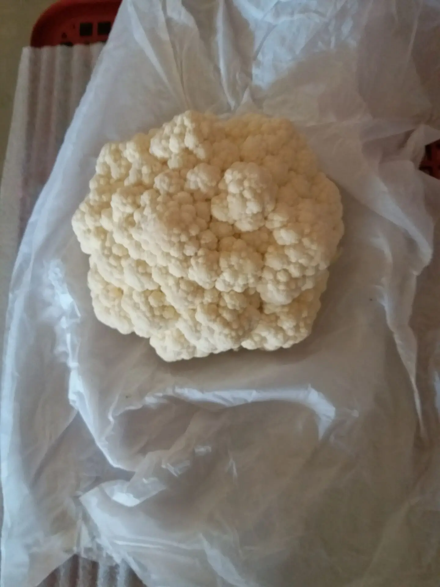 New Chinese  crop Fresh Cauliflower all year round wholesale cheap price