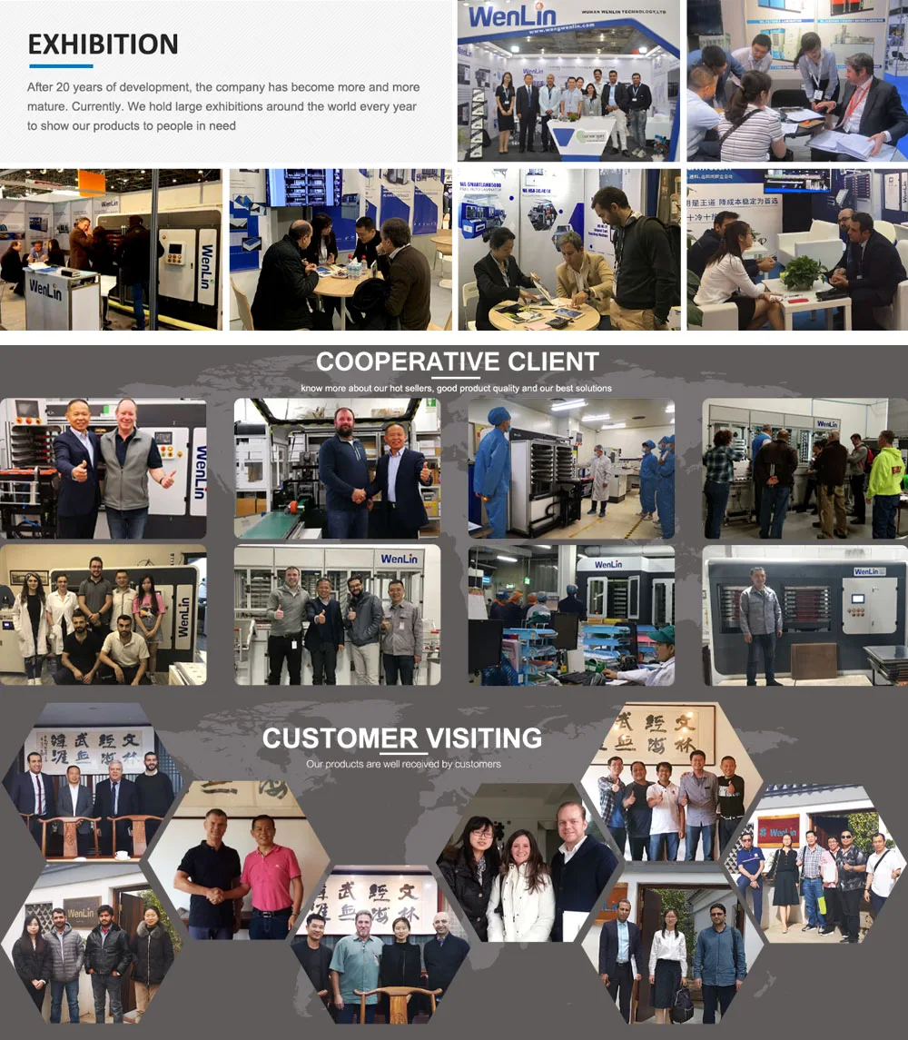 company profile picture