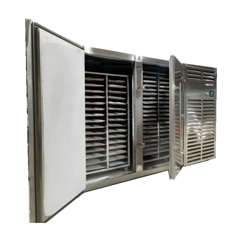 High-Capacity Shock Freeze Chiller: 500kg/h, -45°C, 2200L, 32-Tray System for Industrial-Scale Efficiency