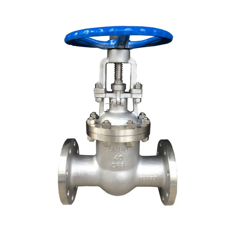 Заводской клапан BIAOYI, гидравлический винт из нержавеющей стали, запорный клапан из нержавеющей стали 300 фунтов