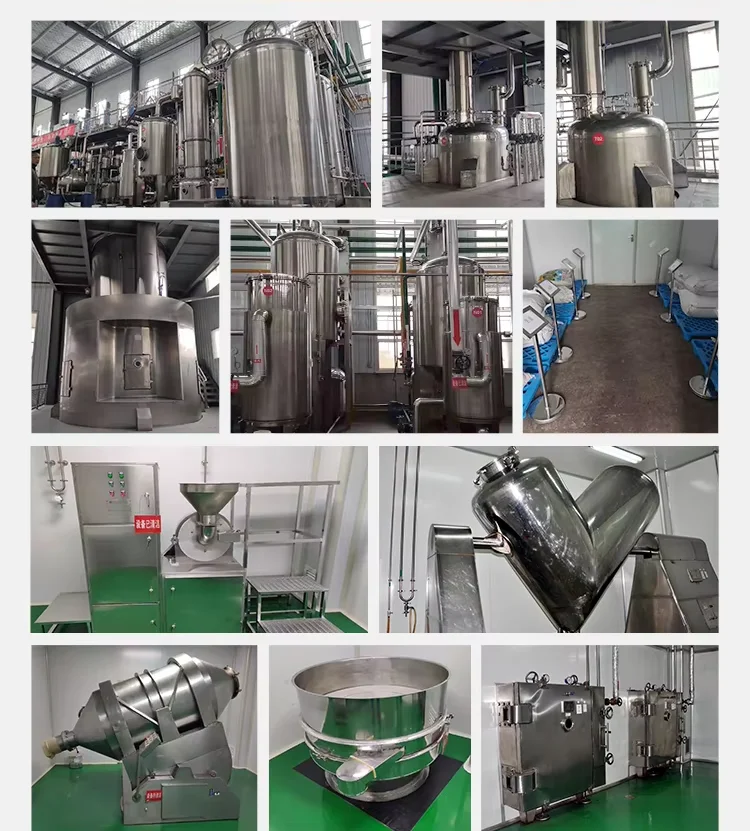 Healthcare Thuja Leaf Extract Powder Natural Brown Hair Care Raw Material Thuja Leaf Extract