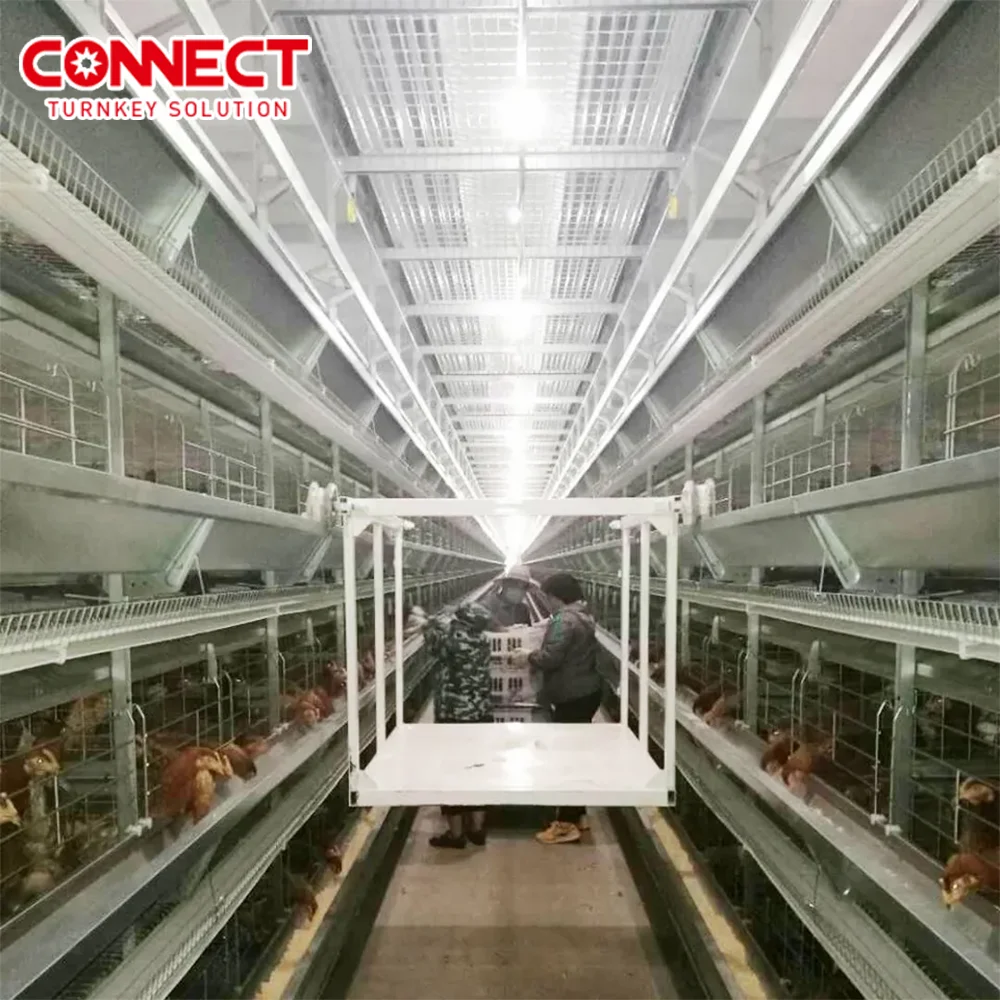 Poultry Cage Equipment 6 Tiers Chicken Farming Chicken Cage Extra Large Metal For Chicken Used