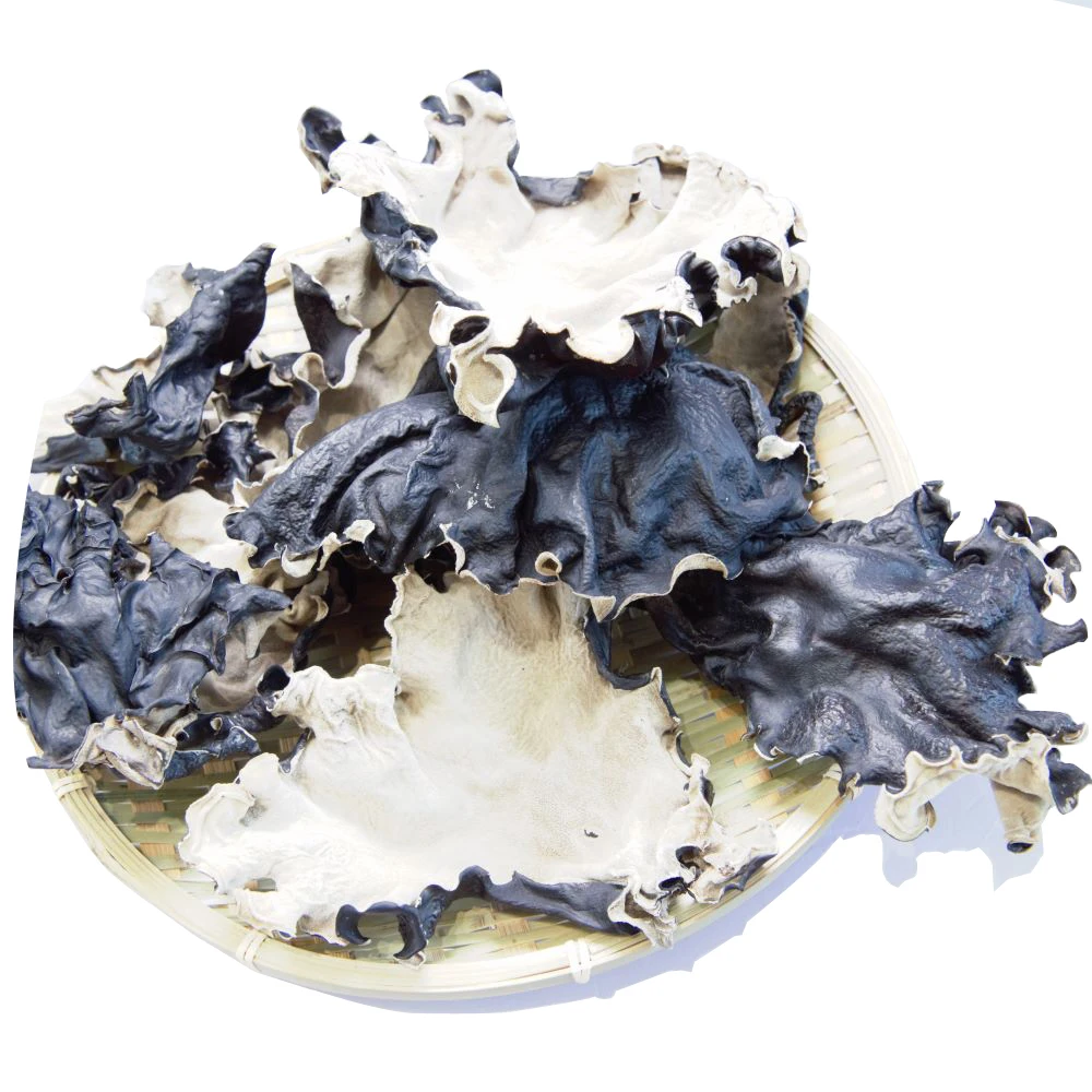 
Dried White Back Agaric/Black Fungus for Buyers 