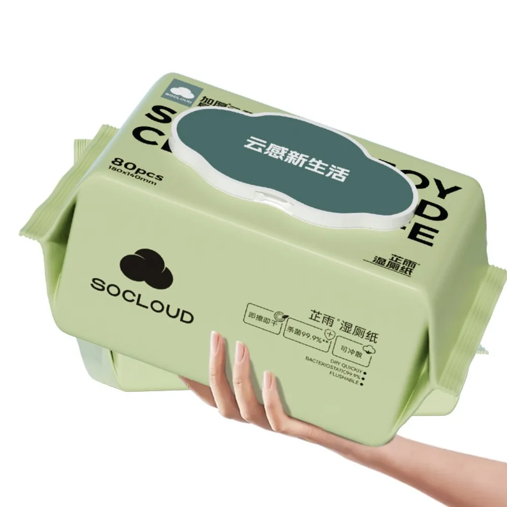 Factory Custom Disposable Baby Adult Antibacterial Cleaning Wet Wipes Flushable Biodegradable Bathroom Toilet Wet Wipes