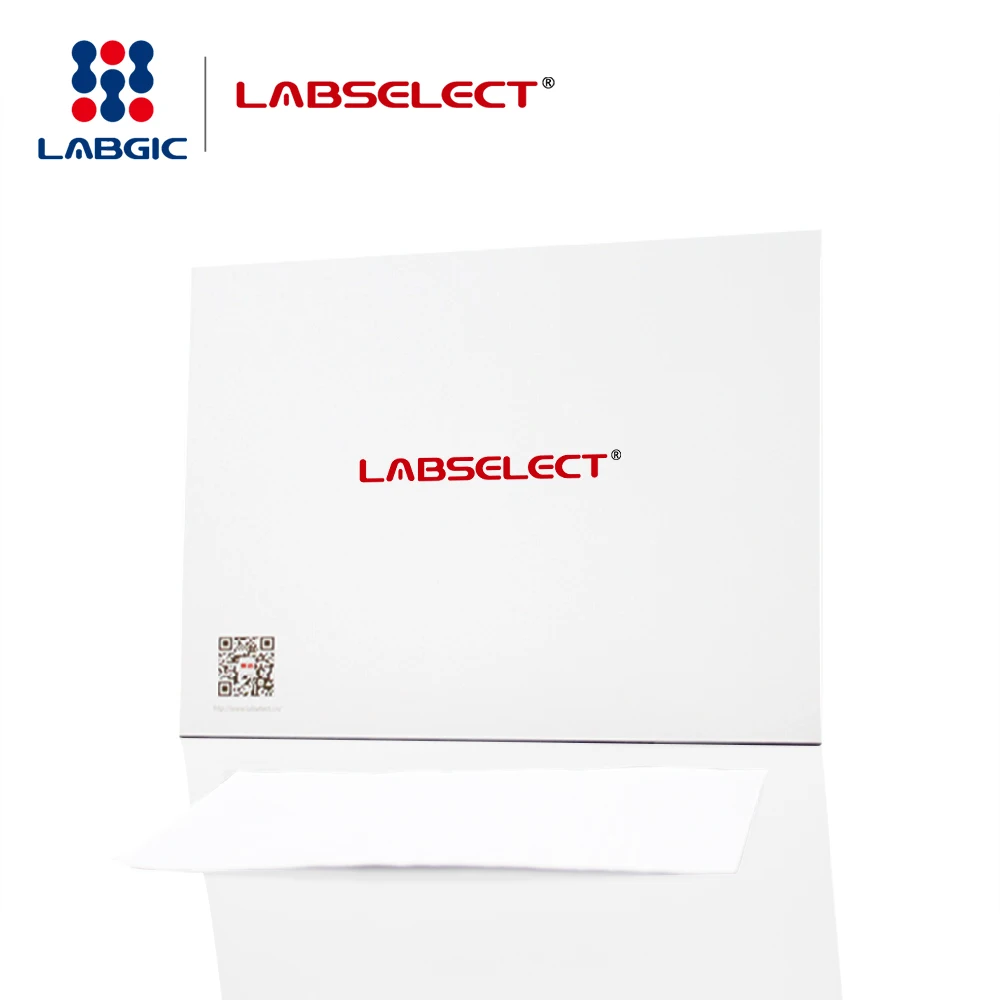 Hot sale Nylon Transfer Membrane, positively charged, 0.45um for Lab use