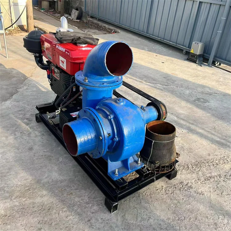 Fish pond pumping 6-inch water pump for farm irrigation with large diameter and high water output