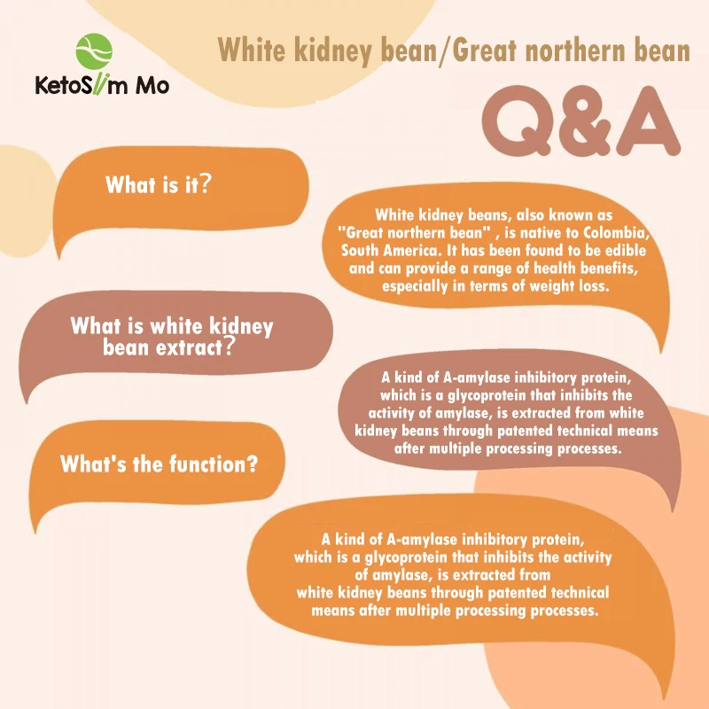 Healthy White Kidney Bean Shirataki Konnyaku Konjac Dry Rice