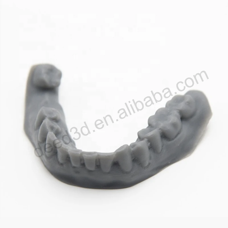 Custom Silicon Resin Mold Rapid Prototype Custom 3D Print Oral Teeth Dental Model 3d Printing Supplier