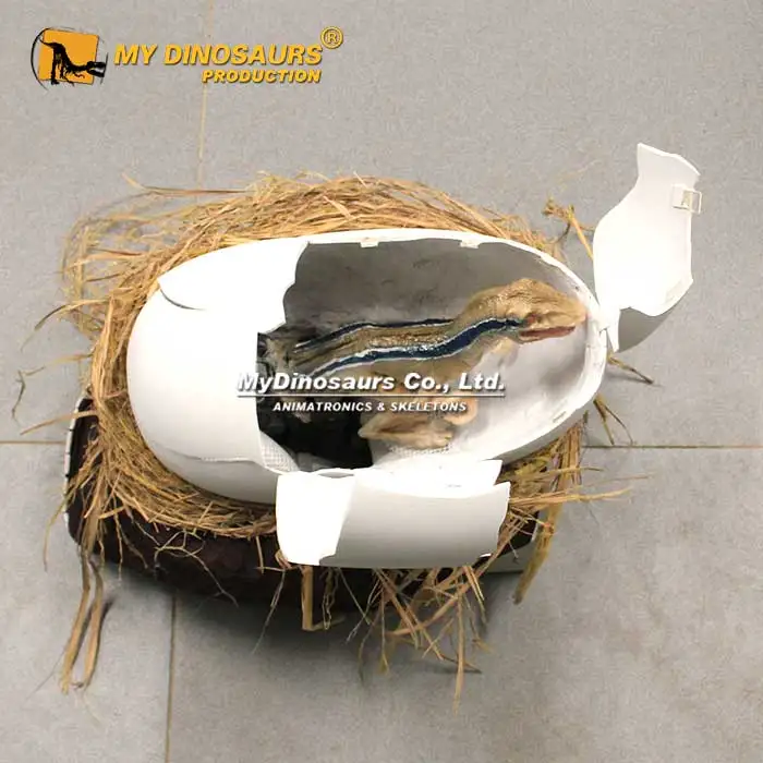 Z MY DINO AD-135 Lifelike Animatronic Dinosaur Baby With Egg Shell For Sale