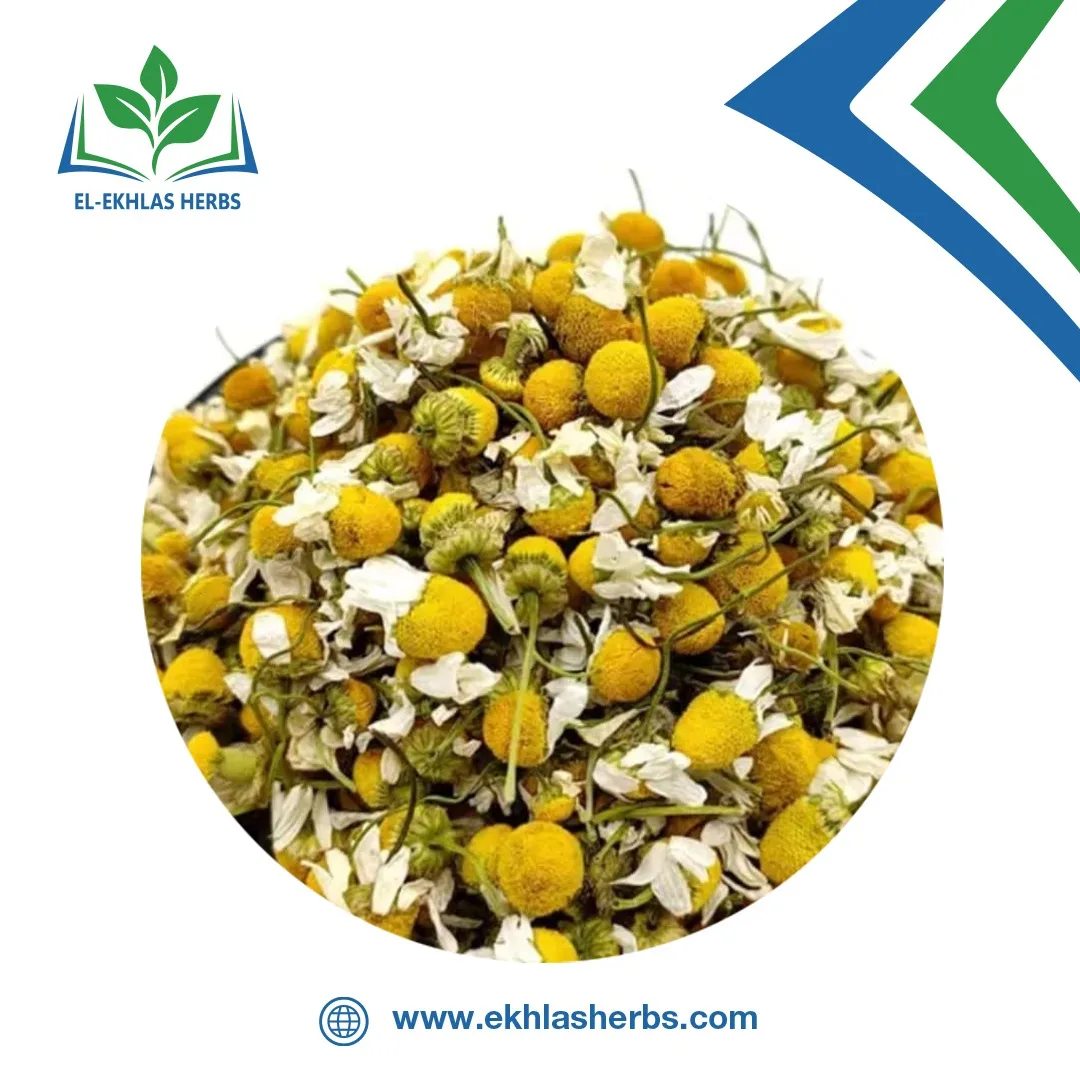 Высококачественные ингредиенты засушенный цветок хризантемы ромашка чай с ромашкой для расслабления и процветания желудка