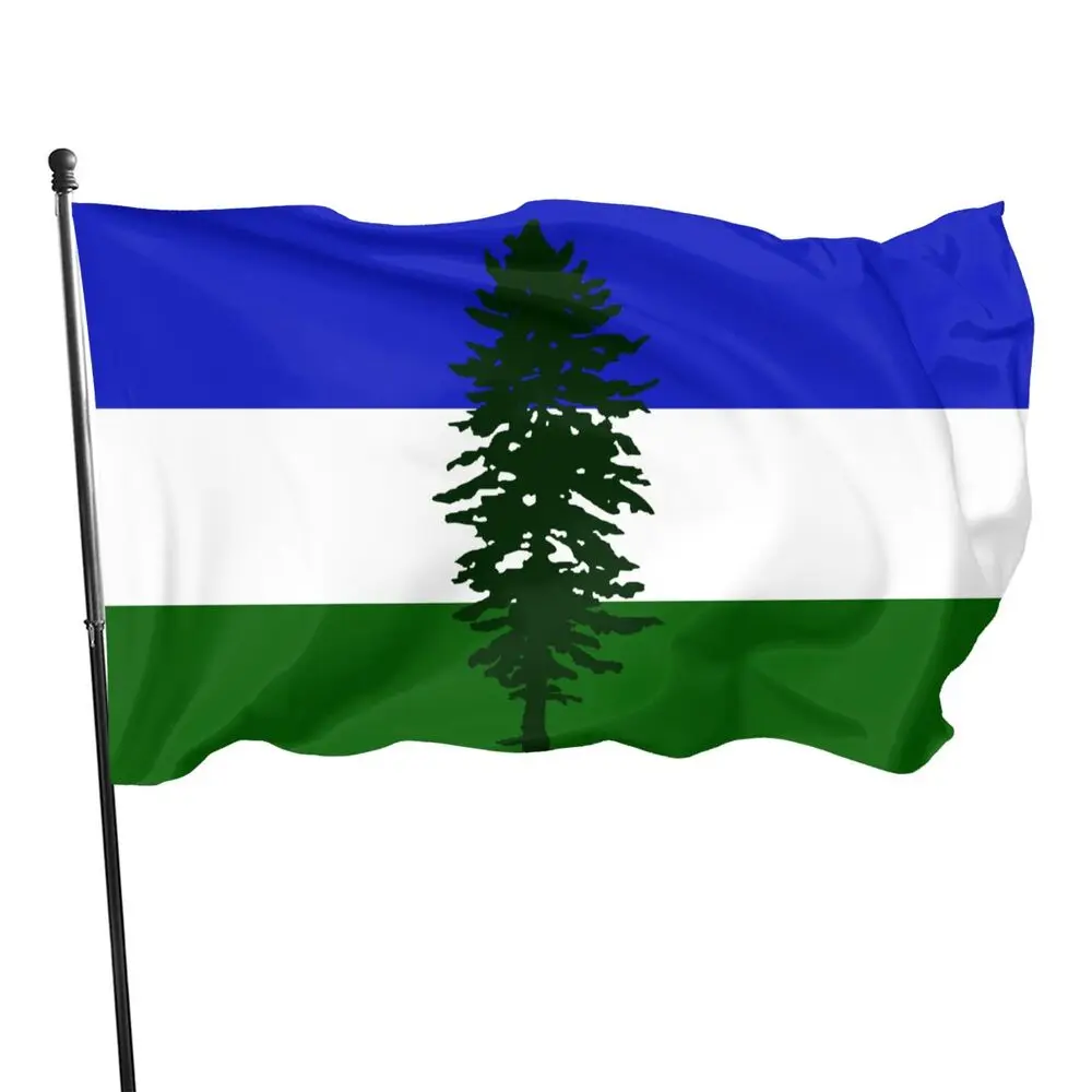 Advertising Custom Country Sports International Flags 3x5ft Printing Cheerleading World Outdoor All Countries Big National Flag