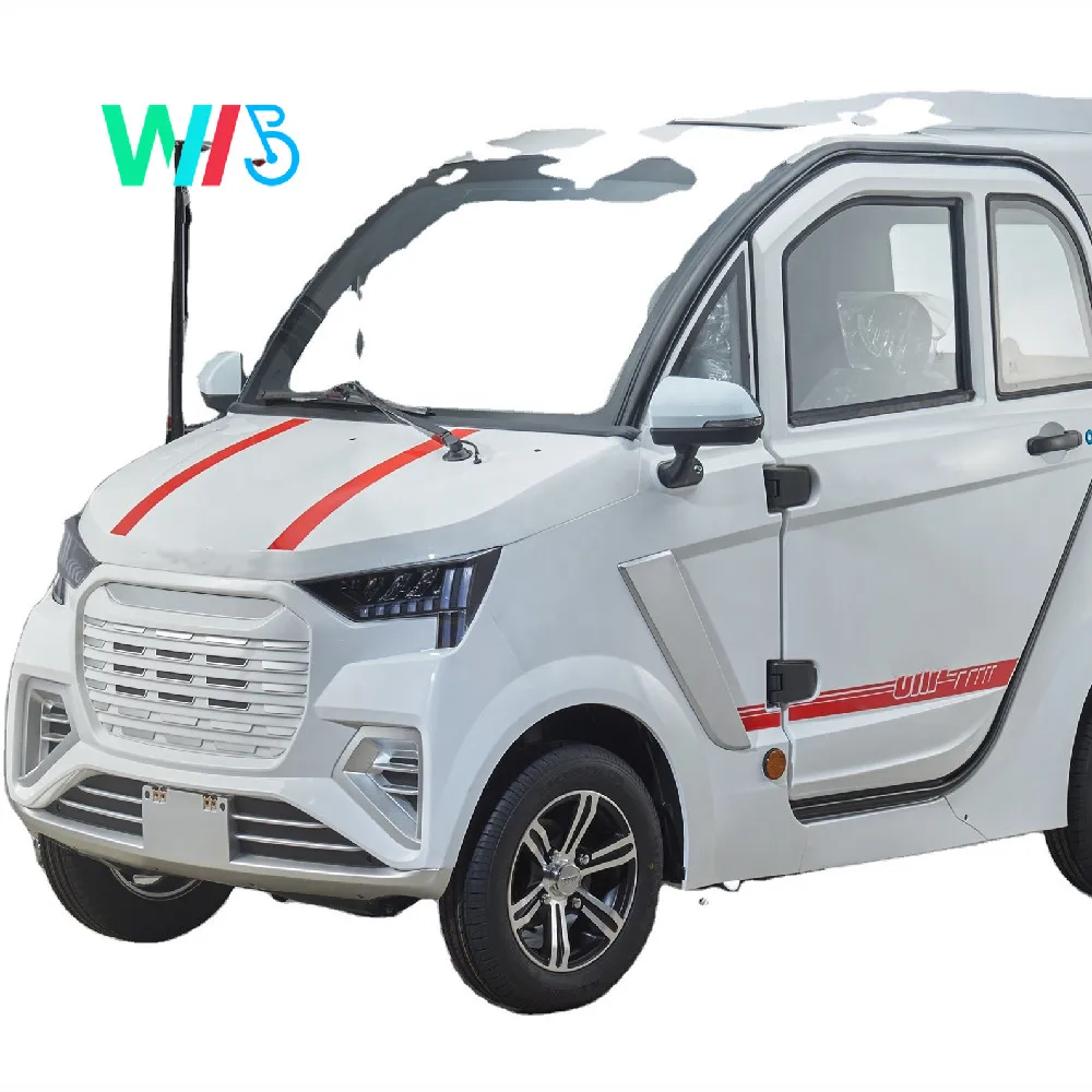 Cheap Fashionable Approved 2 Passengers Electric Mini Vehicle/Car with Enclosed Door Without Driving Licence