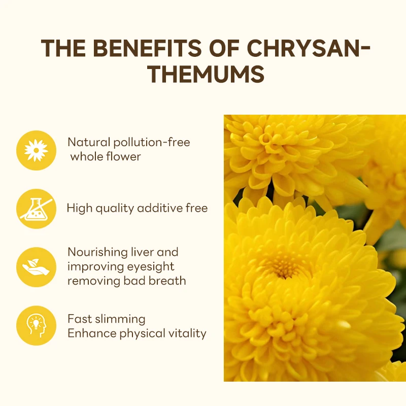 Wholesale bulk high-quality  chrysanthemum  teaorganic healthylow caffeine Chinese famous teaweight loss tea  chrysanthemum