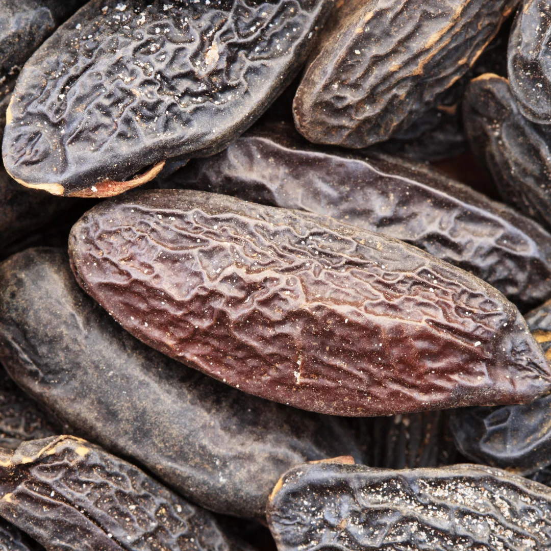 Good Price Amazonian Natural Antiaging Products Dipteryx Odorata Tree Seeds Tonka Beans Dietary Supplements
