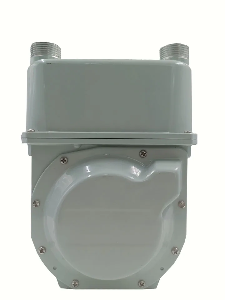 STG16-A  Compressed natural gas mass flow meter