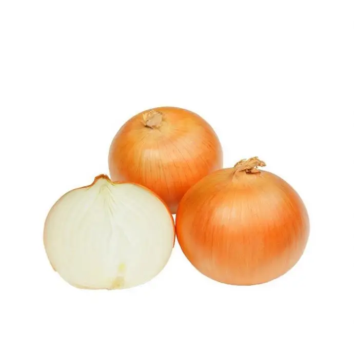 Fresh Onion In Bulk Cheap Red/Yellow Onions For Sale