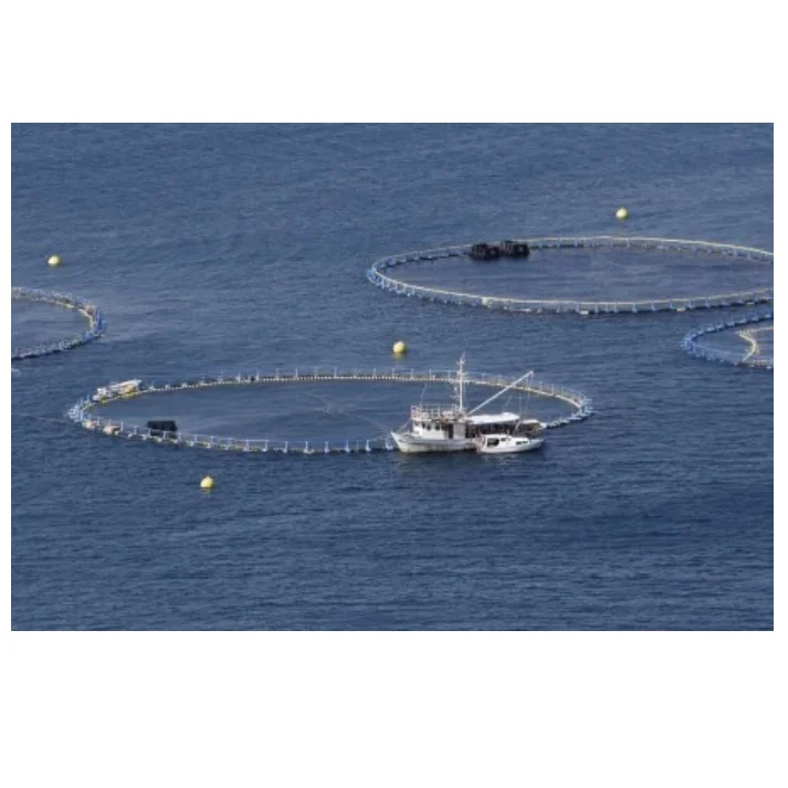 HDPE Floating Fish Cage Tropical Offshore Deep Sea Circular Aquaculture Cage