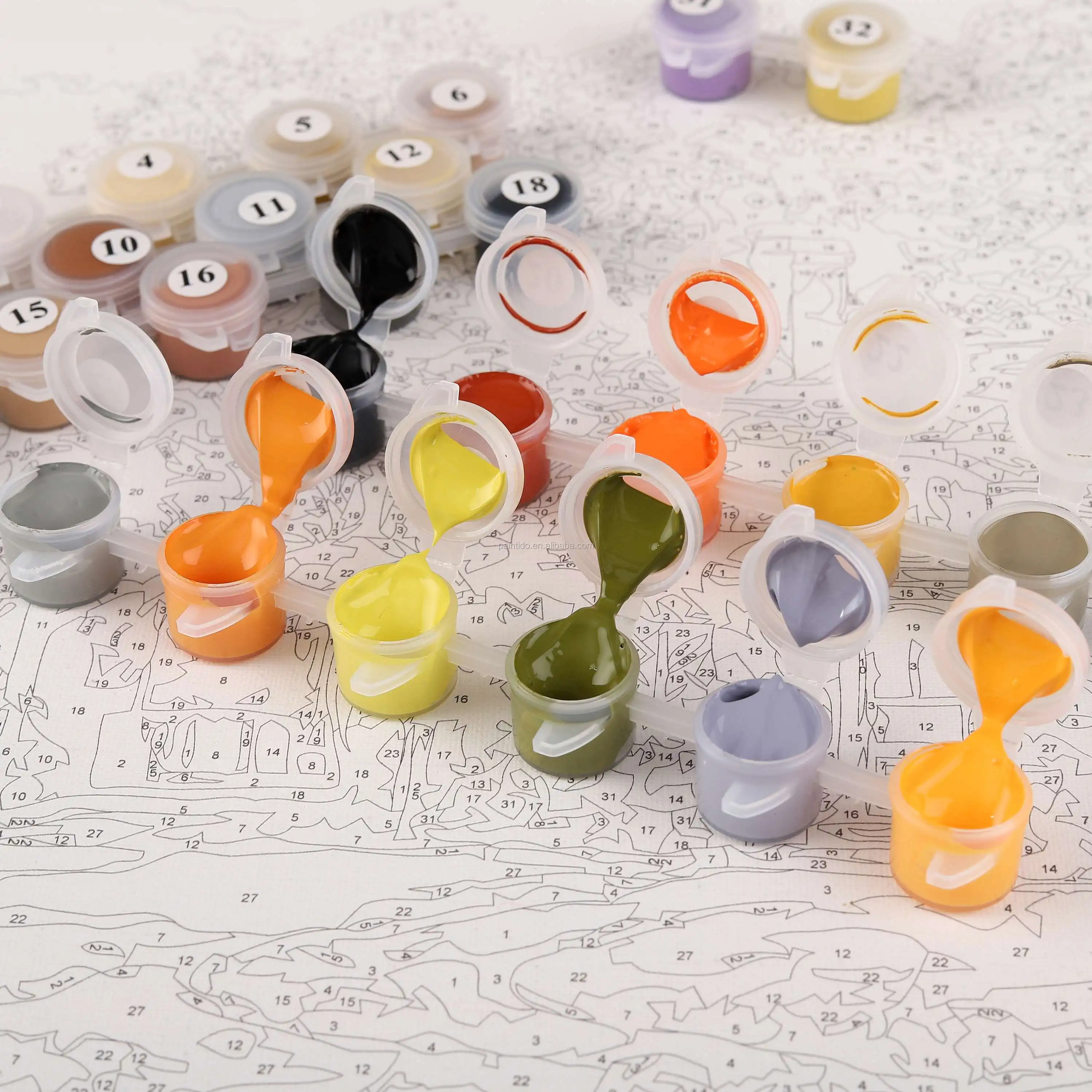 Paintido Photo Print On Canvas Wall Art For Paint By Numbers