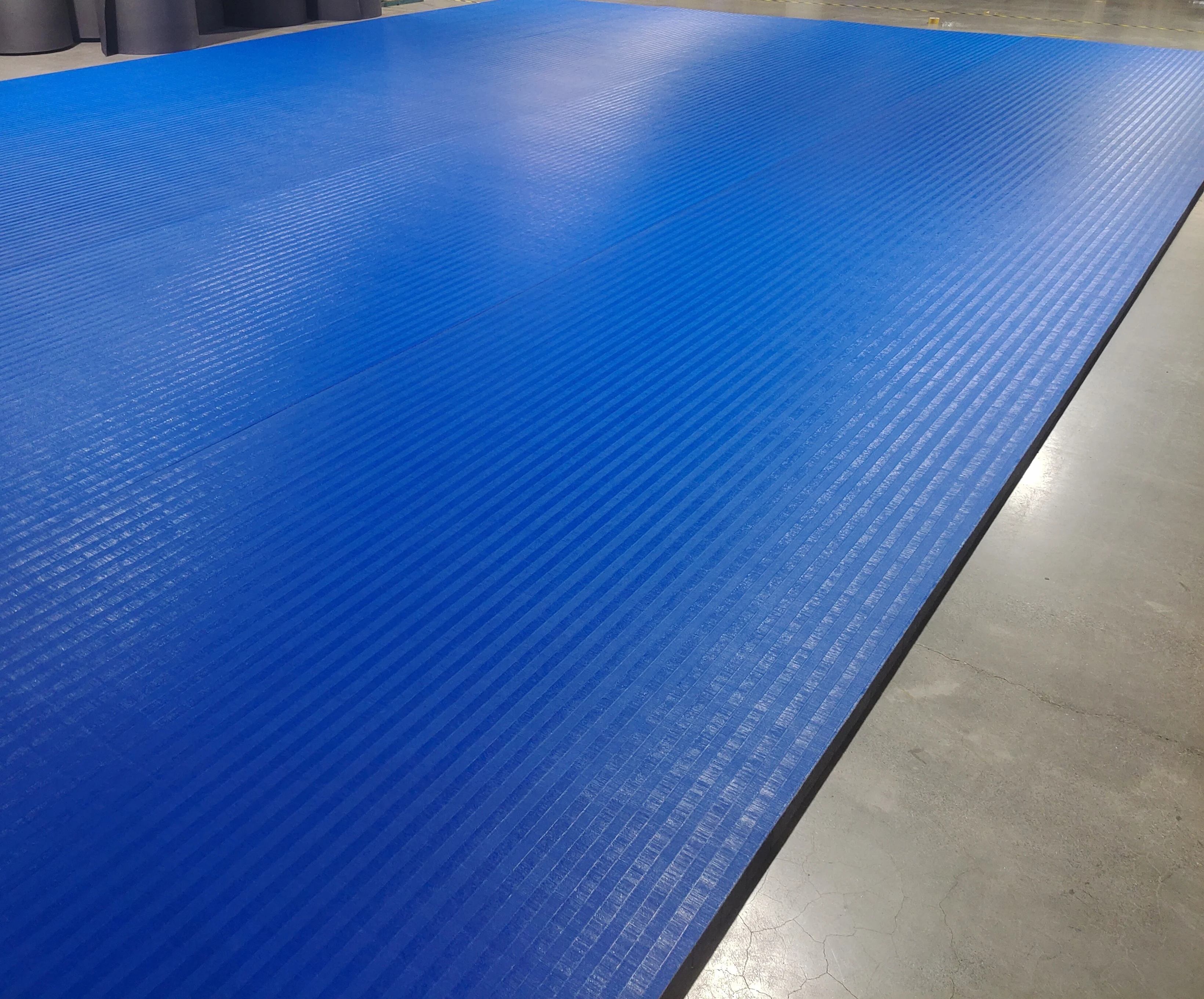 20mm 30mm 40mm Thickness Non Slip MMA Rollout Mat MMA Wrestling Rolling Out Mats For Thai Fighting Center