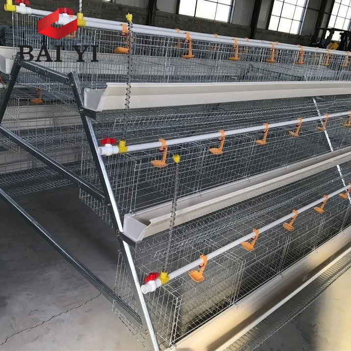 Price Battery Cages Farms in Ghana Poultry Equipment
