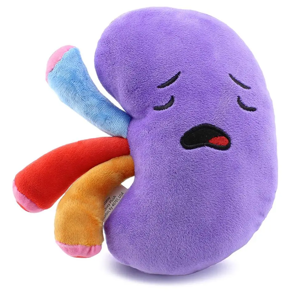 Customized Stuffed Health Education Body Organ Toy Plush Kidney