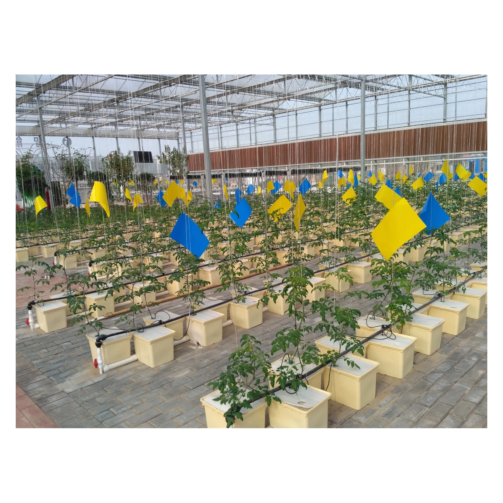 Bato bucket with single hole lid net pot dutch bucket for hydroponic system from china