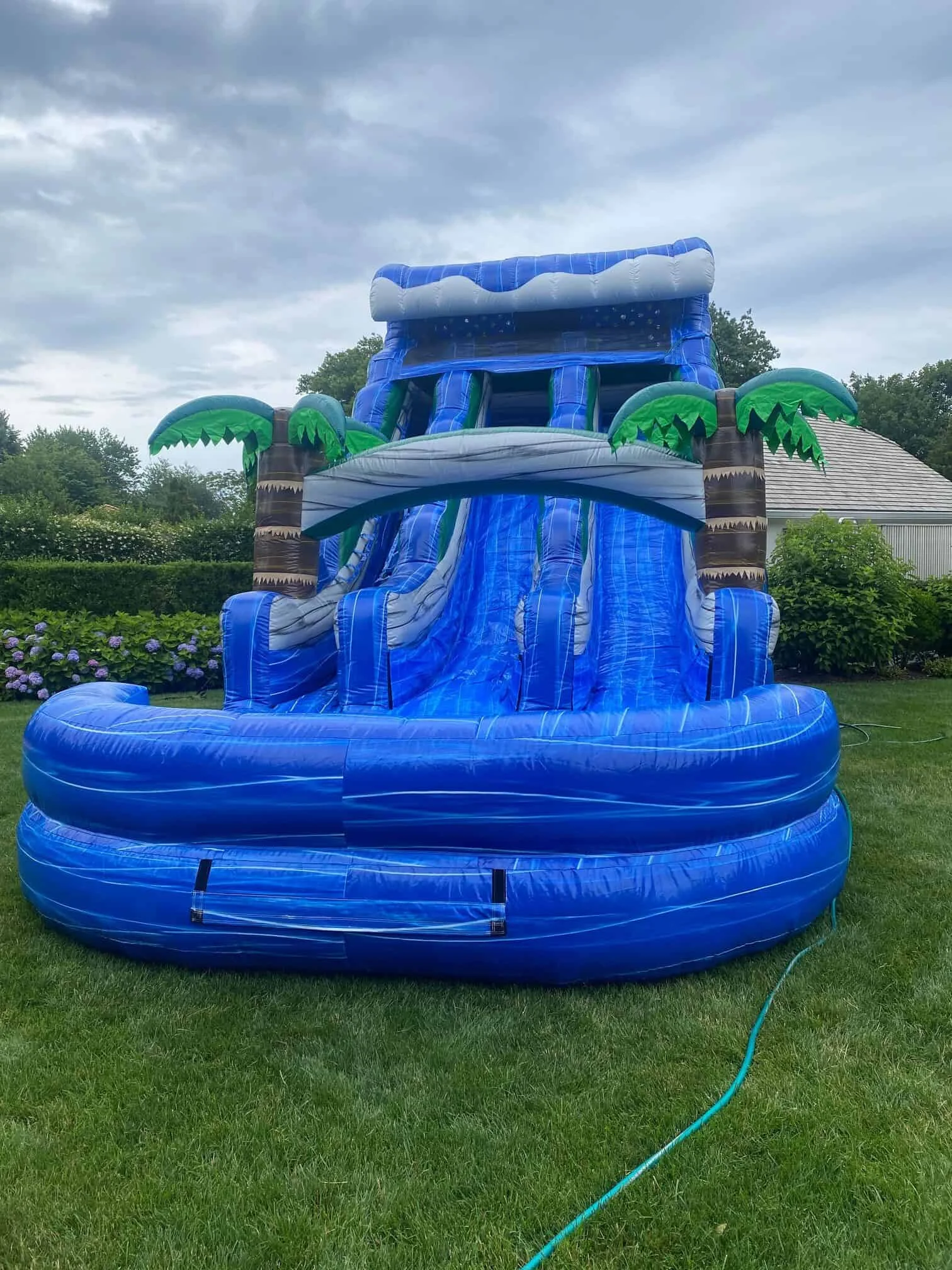 20ft Dual Lane Tropical WAVE inflatable Water Slide