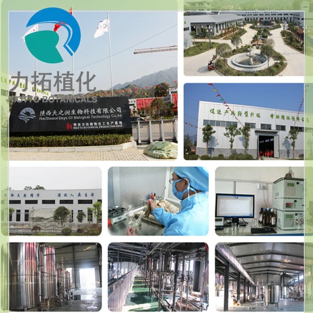 
Factory Supply Food grade yucca extract powder / yucca schidigera extract 