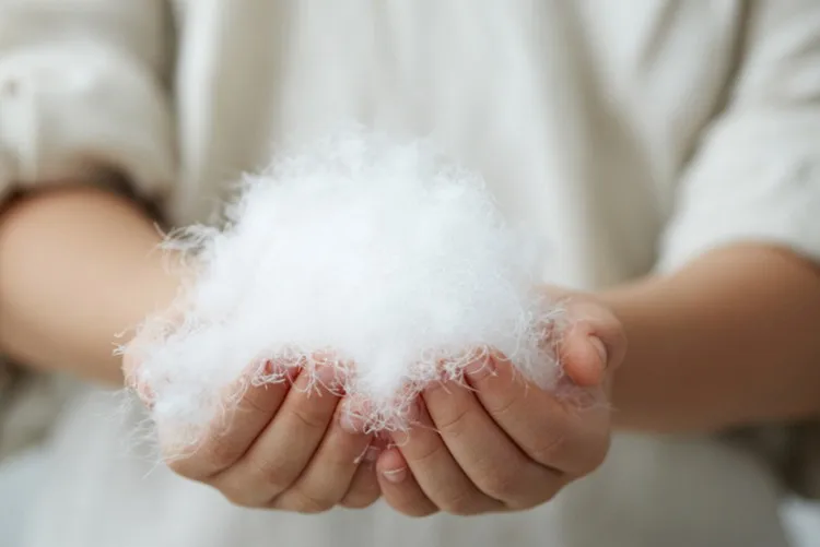 European standard 100% white goose down class one eiderdown 800 Fill power 1 kg price