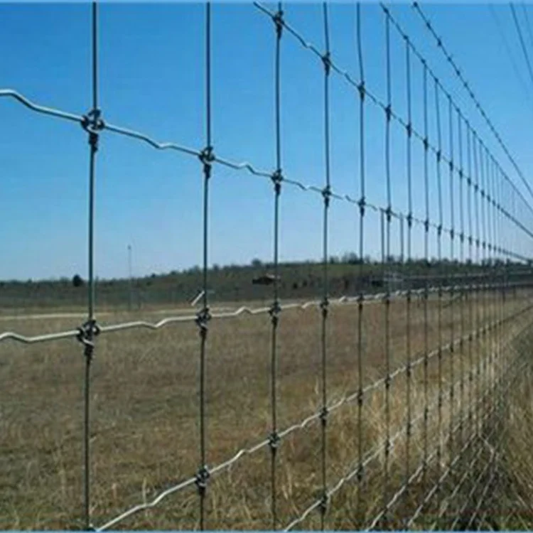 Hot dipped galvanized farm sheep and goat fencing wire mesh 2mm wire for farm